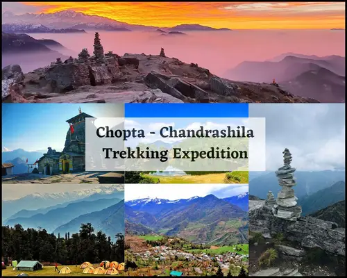Chopta - Chandrashila Trekking Expedition