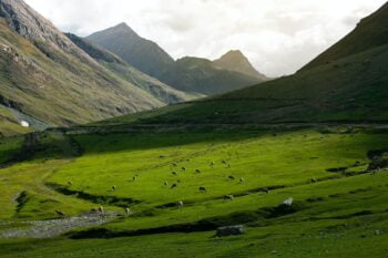  Best Places to Visit in Gulmarg