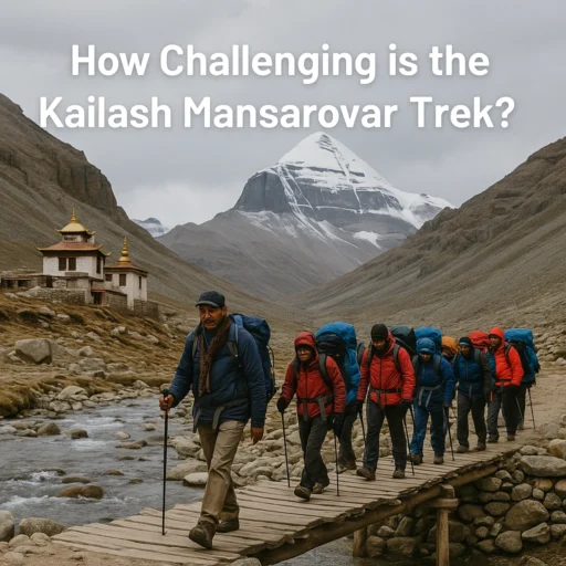 Pilgrims trekking on the sacred Kailash Mansarovar route surrounded by the Himalayas.