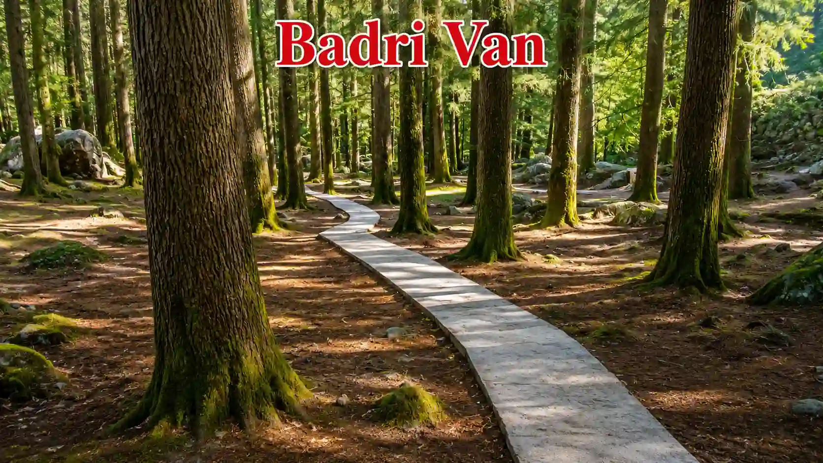 Badri Van