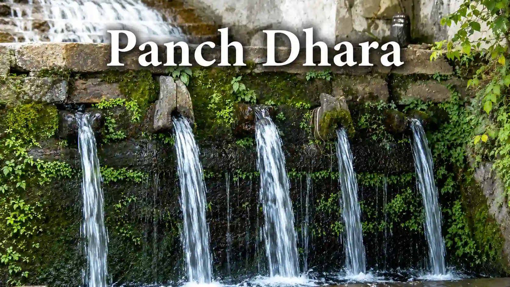 Panch Dhara